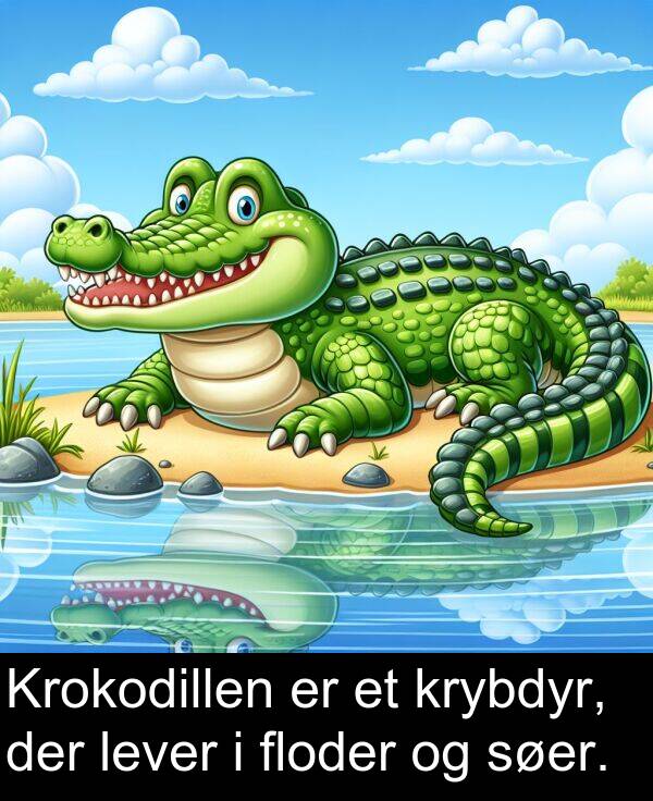 krybdyr: Krokodillen er et krybdyr, der lever i floder og søer.