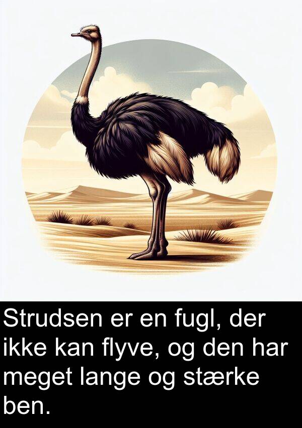 flyve: Strudsen er en fugl, der ikke kan flyve, og den har meget lange og stærke ben.