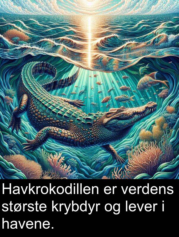 krybdyr: Havkrokodillen er verdens største krybdyr og lever i havene.