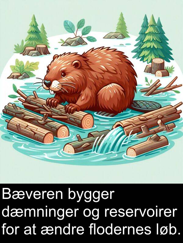 flodernes: Bæveren bygger dæmninger og reservoirer for at ændre flodernes løb.