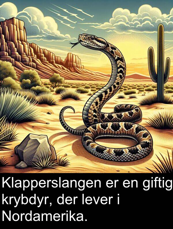 krybdyr: Klapperslangen er en giftig krybdyr, der lever i Nordamerika.