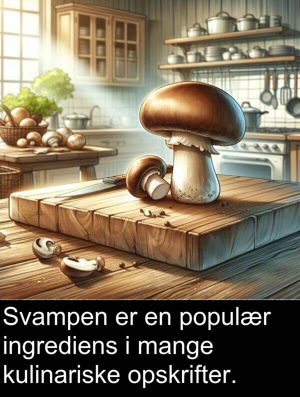 kulinariske: Svampen er en populær ingrediens i mange kulinariske opskrifter.