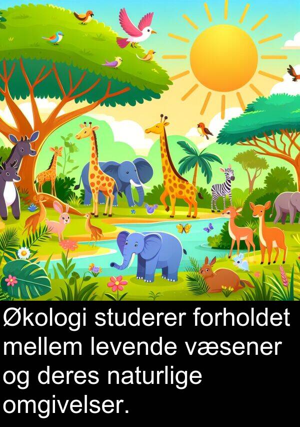 væsener: Økologi studerer forholdet mellem levende væsener og deres naturlige omgivelser.