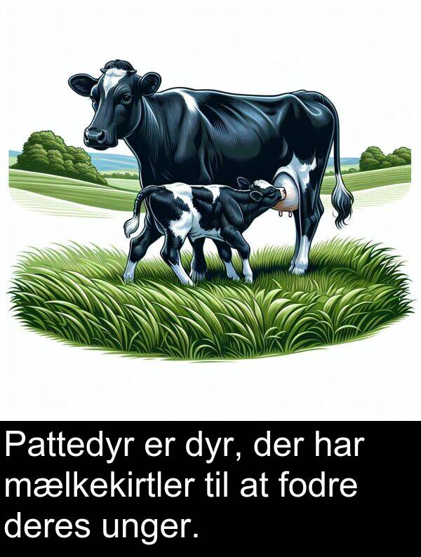 mælkekirtler: Pattedyr er dyr, der har mælkekirtler til at fodre deres unger.