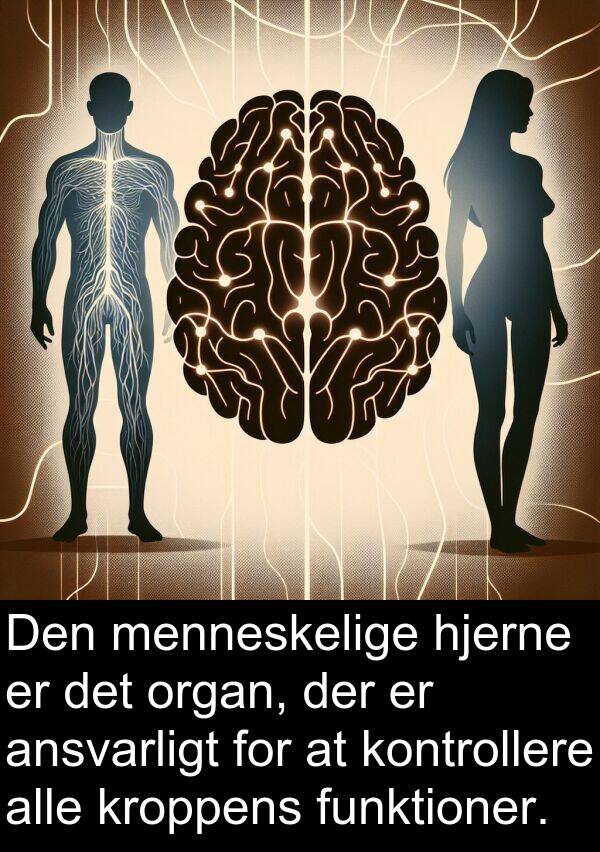 kroppens: Den menneskelige hjerne er det organ, der er ansvarligt for at kontrollere alle kroppens funktioner.