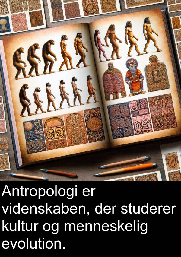kultur: Antropologi er videnskaben, der studerer kultur og menneskelig evolution.