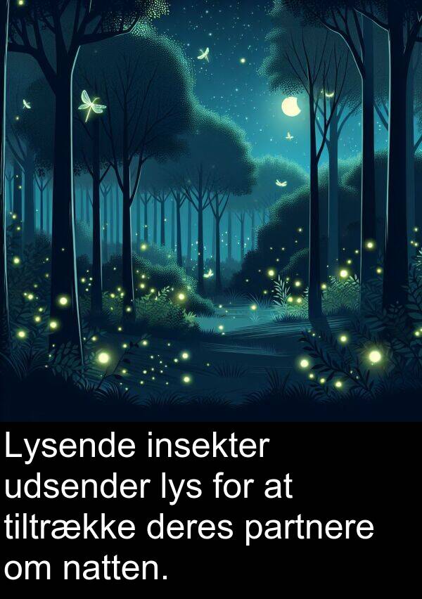 udsender: Lysende insekter udsender lys for at tiltrække deres partnere om natten.