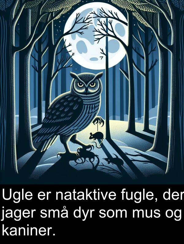mus: Ugle er nataktive fugle, der jager små dyr som mus og kaniner.