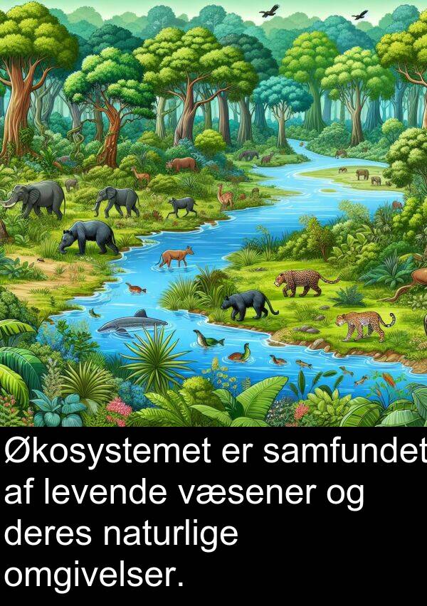 væsener: Økosystemet er samfundet af levende væsener og deres naturlige omgivelser.