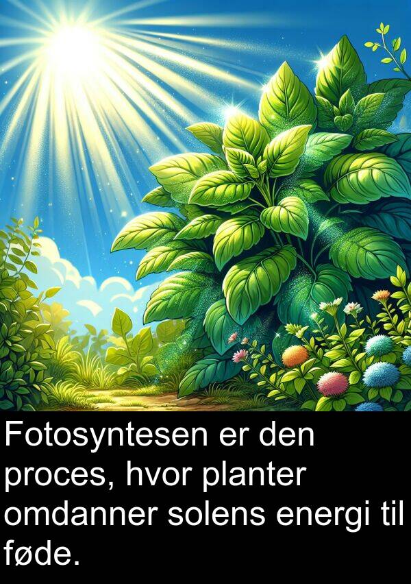 proces: Fotosyntesen er den proces, hvor planter omdanner solens energi til føde.
