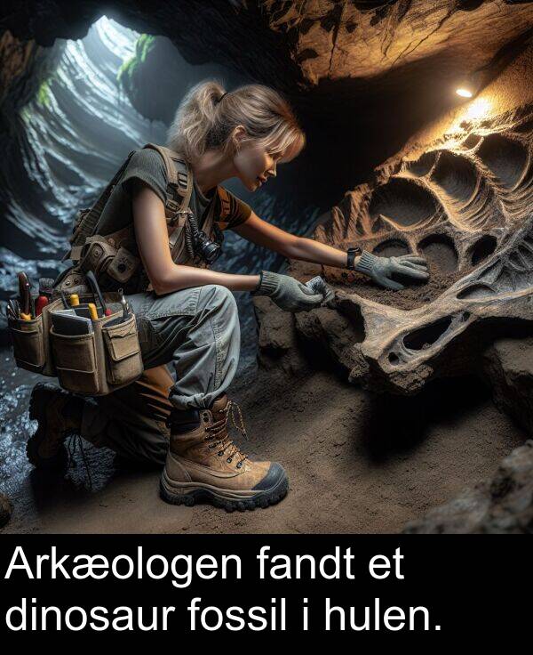 hulen: Arkæologen fandt et dinosaur fossil i hulen.