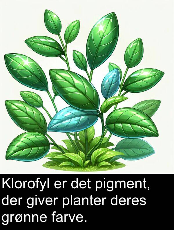 grønne: Klorofyl er det pigment, der giver planter deres grønne farve.