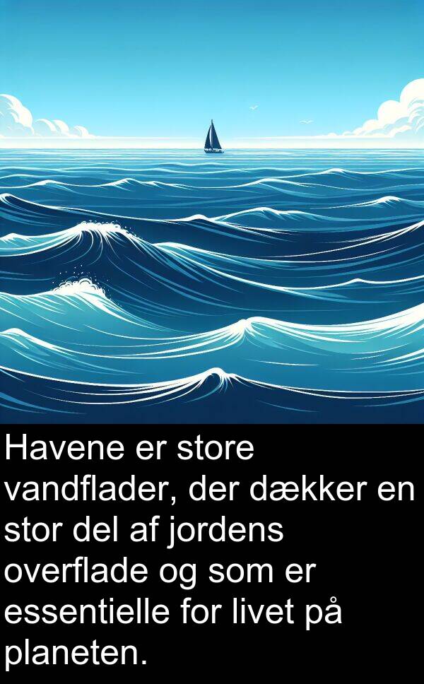 vandflader: Havene er store vandflader, der dækker en stor del af jordens overflade og som er essentielle for livet på planeten.