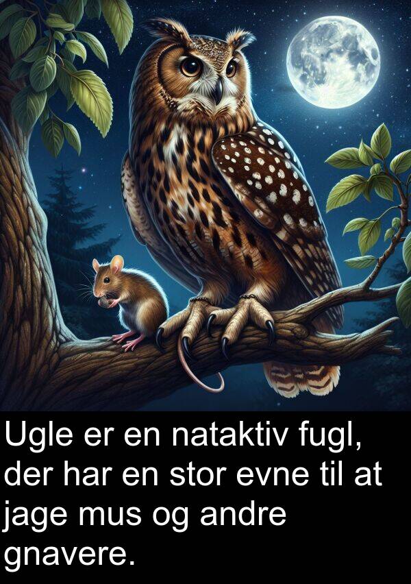 mus: Ugle er en nataktiv fugl, der har en stor evne til at jage mus og andre gnavere.