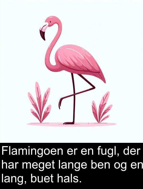 hals: Flamingoen er en fugl, der har meget lange ben og en lang, buet hals.