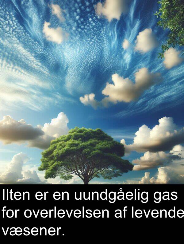 væsener: Ilten er en uundgåelig gas for overlevelsen af levende væsener.