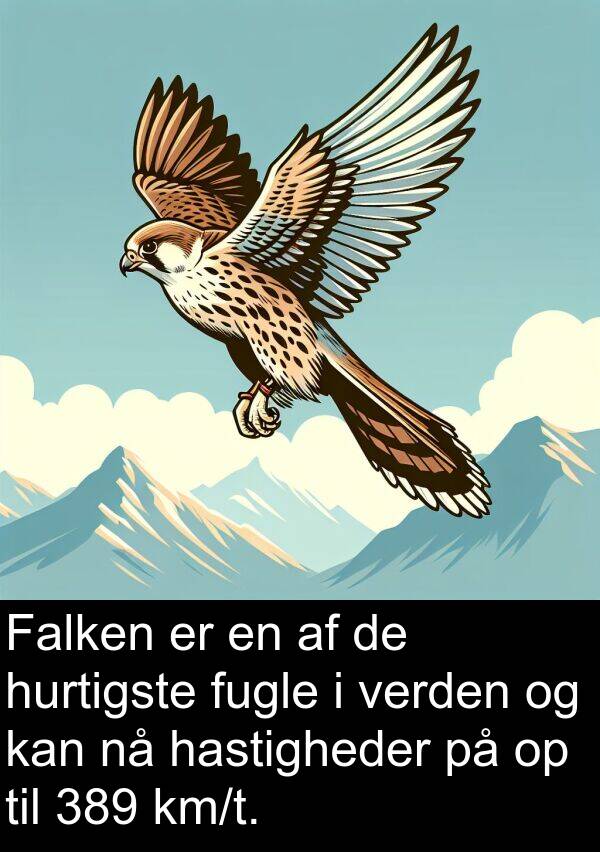 hastigheder: Falken er en af de hurtigste fugle i verden og kan nå hastigheder på op til 389 km/t.