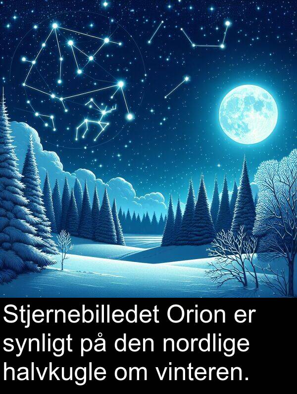 vinteren: Stjernebilledet Orion er synligt på den nordlige halvkugle om vinteren.