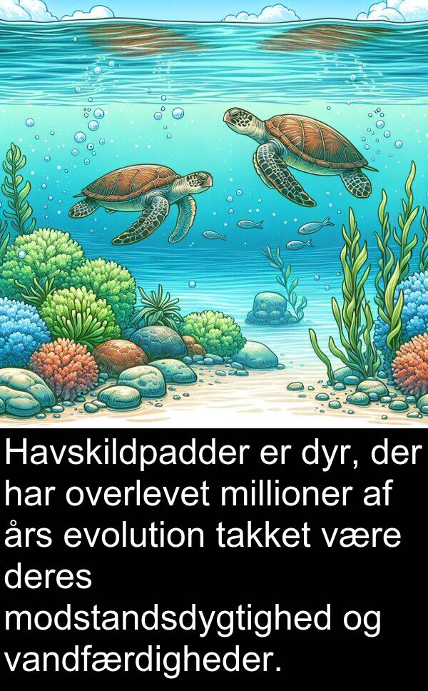 års: Havskildpadder er dyr, der har overlevet millioner af års evolution takket være deres modstandsdygtighed og vandfærdigheder.