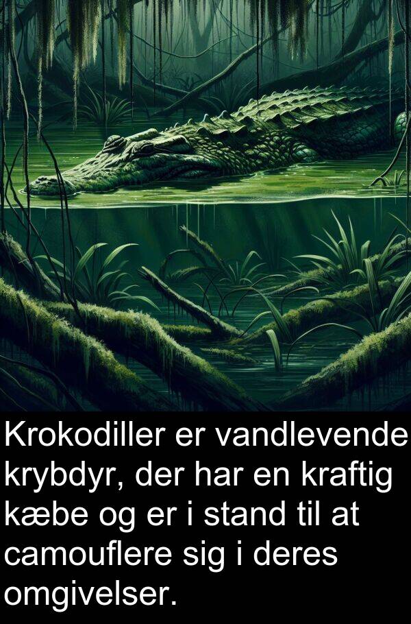kæbe: Krokodiller er vandlevende krybdyr, der har en kraftig kæbe og er i stand til at camouflere sig i deres omgivelser.