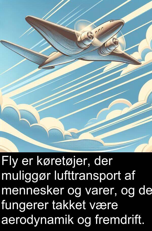 køretøjer: Fly er køretøjer, der muliggør lufttransport af mennesker og varer, og de fungerer takket være aerodynamik og fremdrift.