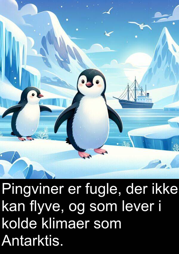 flyve: Pingviner er fugle, der ikke kan flyve, og som lever i kolde klimaer som Antarktis.