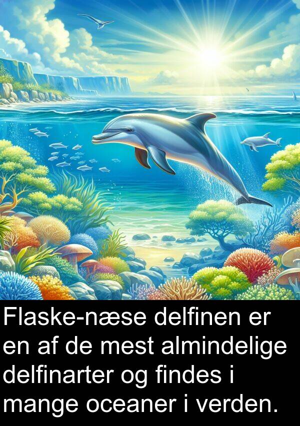 mest: Flaske-næse delfinen er en af de mest almindelige delfinarter og findes i mange oceaner i verden.