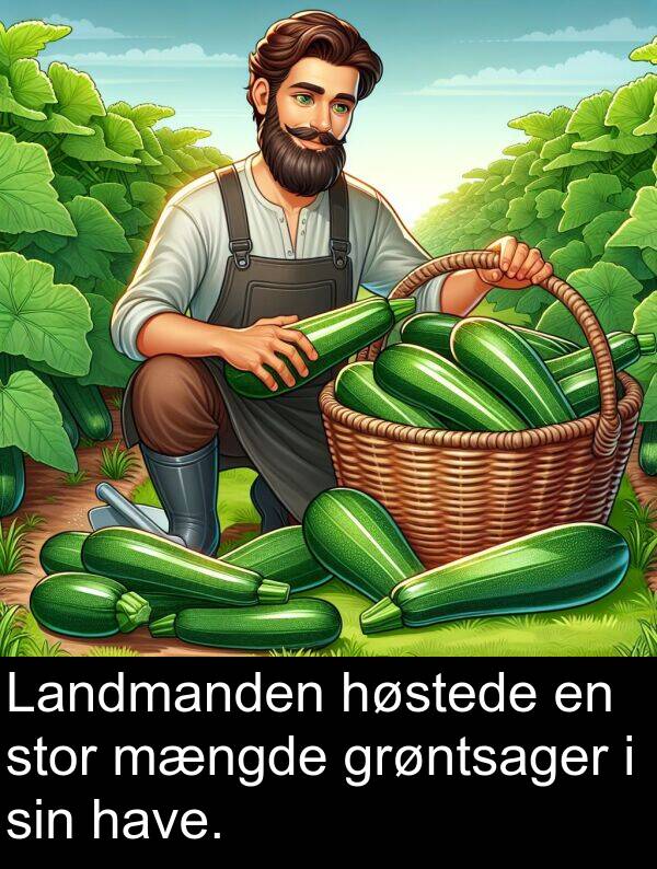 mængde: Landmanden høstede en stor mængde grøntsager i sin have.