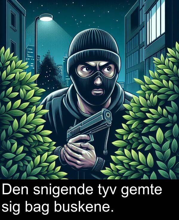 bag: Den snigende tyv gemte sig bag buskene.