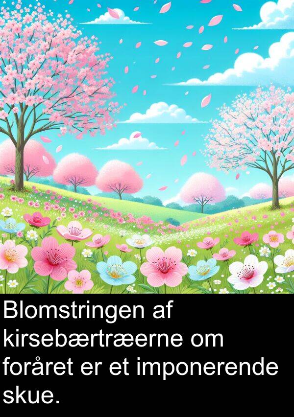 foråret: Blomstringen af kirsebærtræerne om foråret er et imponerende skue.
