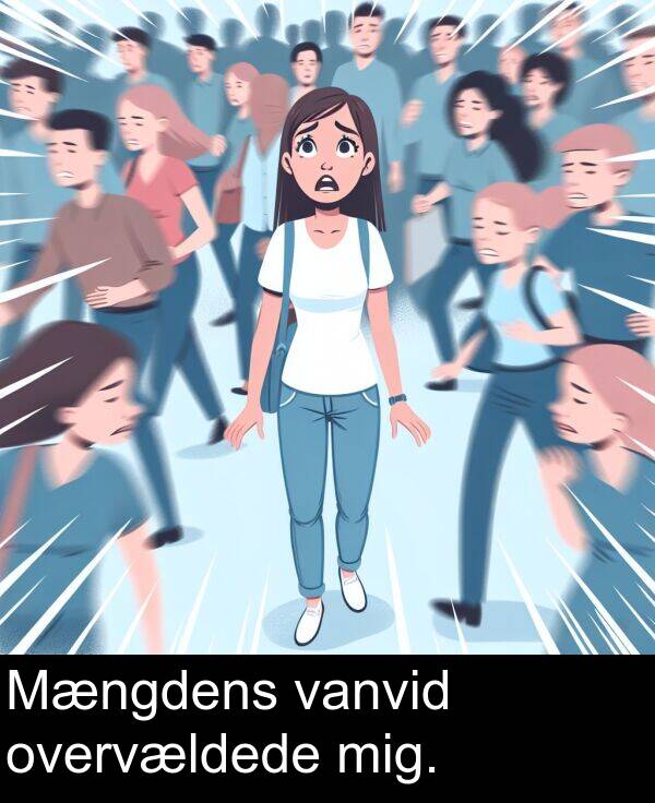 vanvid: Mængdens vanvid overvældede mig.
