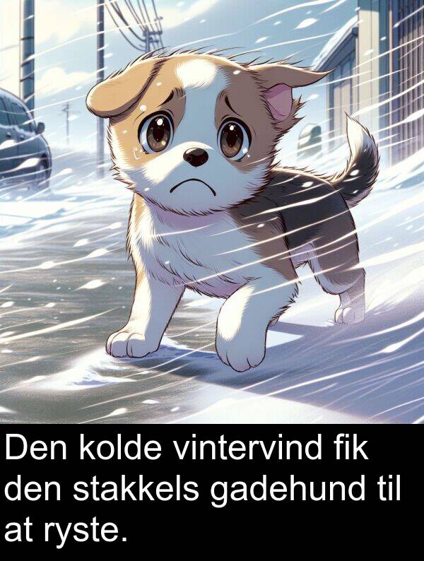 vintervind: Den kolde vintervind fik den stakkels gadehund til at ryste.