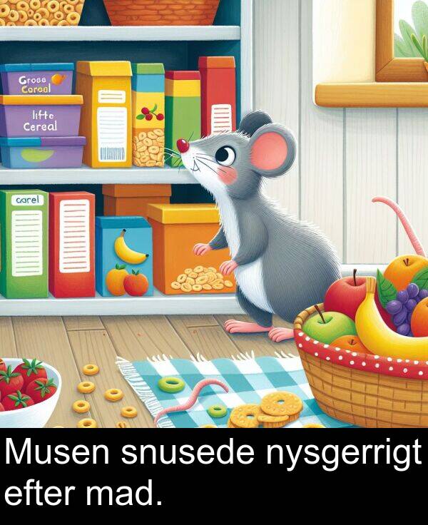 efter: Musen snusede nysgerrigt efter mad.