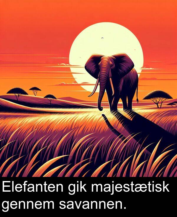 gennem: Elefanten gik majestætisk gennem savannen.