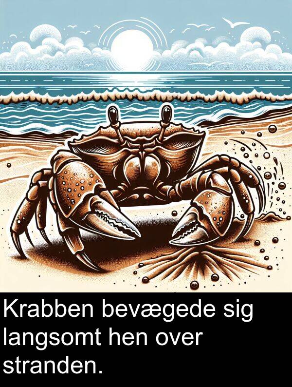 hen: Krabben bevægede sig langsomt hen over stranden.