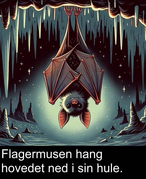 hang: Flagermusen hang hovedet ned i sin hule.
