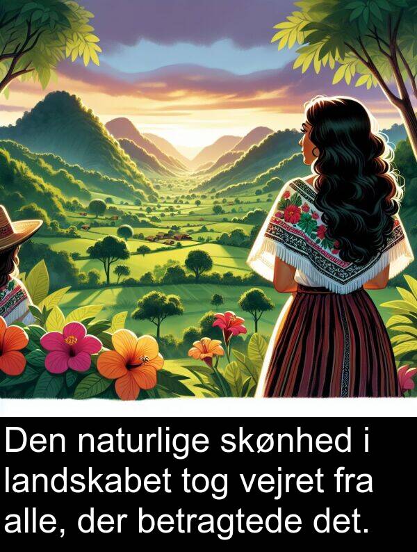 vejret: Den naturlige skønhed i landskabet tog vejret fra alle, der betragtede det.
