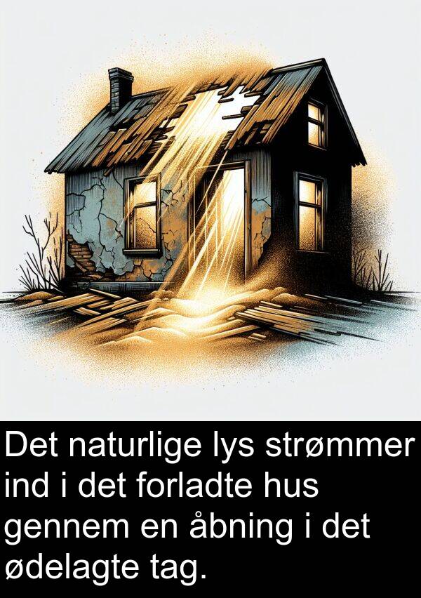 åbning: Det naturlige lys strømmer ind i det forladte hus gennem en åbning i det ødelagte tag.