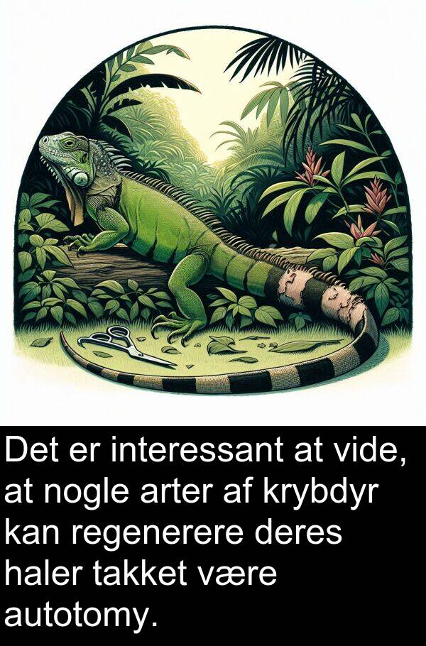krybdyr: Det er interessant at vide, at nogle arter af krybdyr kan regenerere deres haler takket være autotomy.