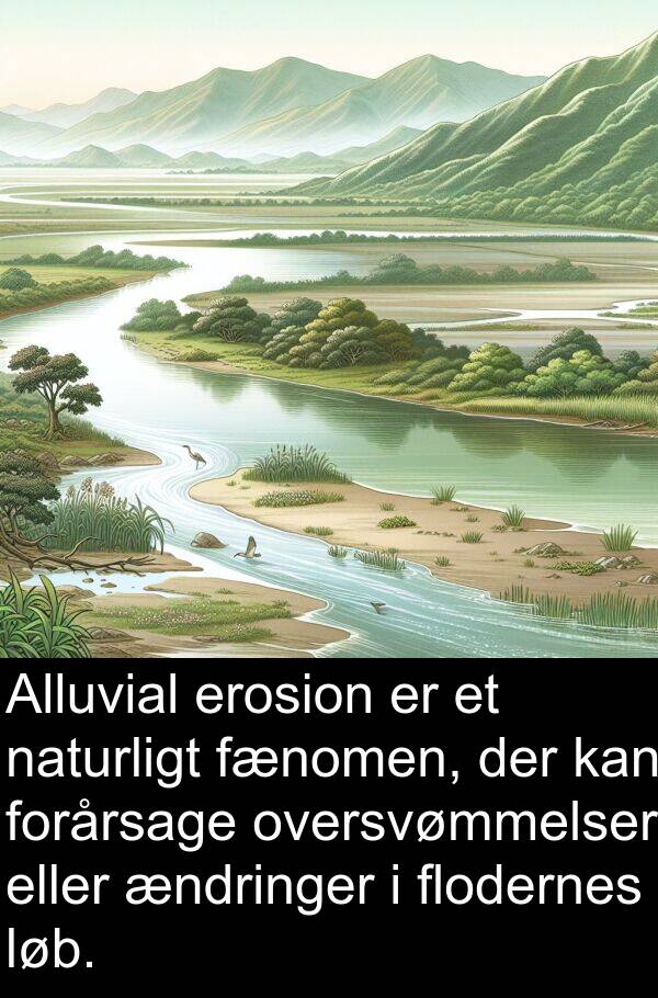 forårsage: Alluvial erosion er et naturligt fænomen, der kan forårsage oversvømmelser eller ændringer i flodernes løb.