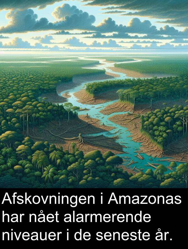 år: Afskovningen i Amazonas har nået alarmerende niveauer i de seneste år.