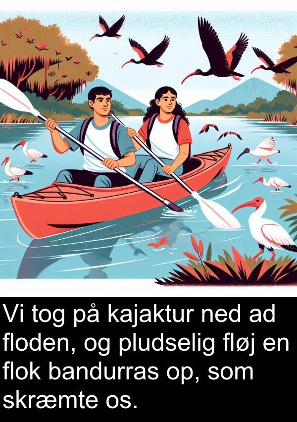 floden: Vi tog på kajaktur ned ad floden, og pludselig fløj en flok bandurras op, som skræmte os.