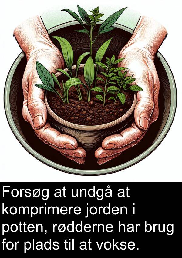 komprimere: Forsøg at undgå at komprimere jorden i potten, rødderne har brug for plads til at vokse.