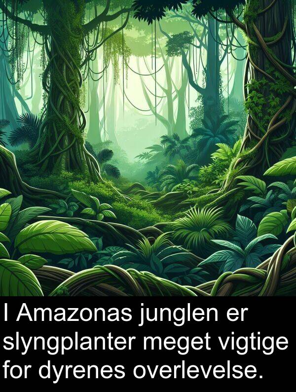 junglen: I Amazonas junglen er slyngplanter meget vigtige for dyrenes overlevelse.