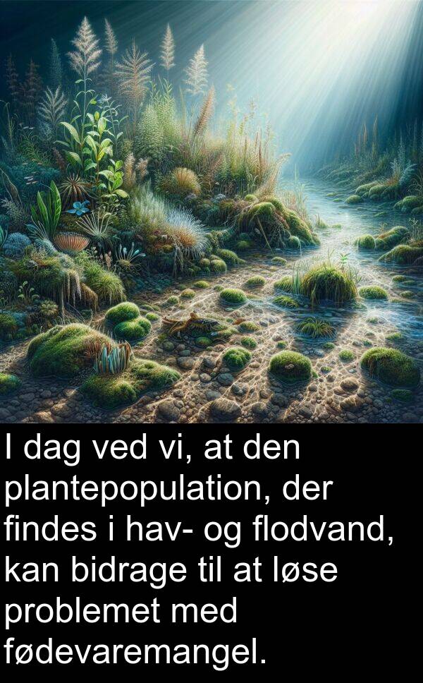 problemet: I dag ved vi, at den plantepopulation, der findes i hav- og flodvand, kan bidrage til at løse problemet med fødevaremangel.