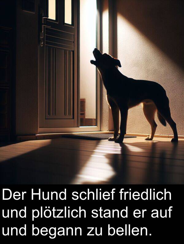 friedlich: Der Hund schlief friedlich und plötzlich stand er auf und begann zu bellen.