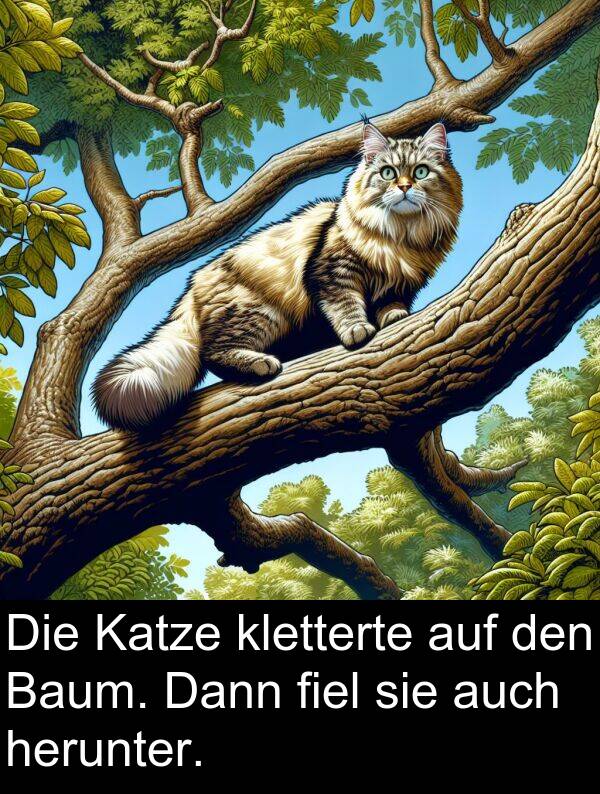 Dann: Die Katze kletterte auf den Baum. Dann fiel sie auch herunter.