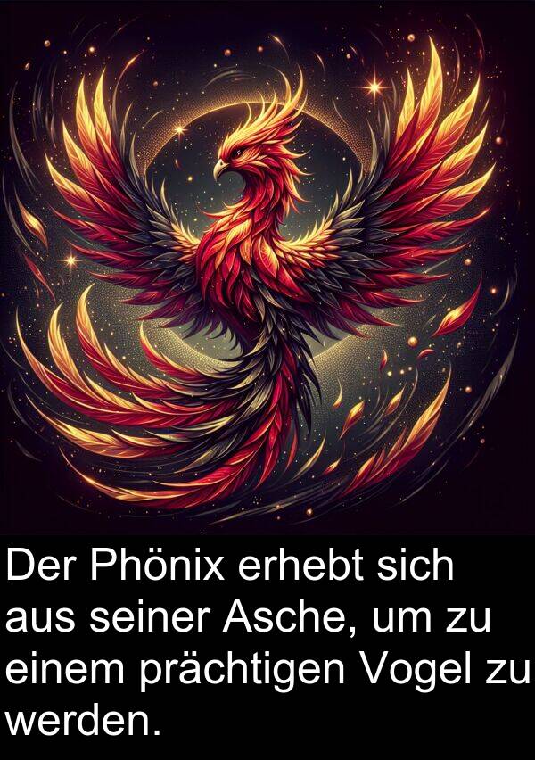 prächtigen: Der Phönix erhebt sich aus seiner Asche, um zu einem prächtigen Vogel zu werden.