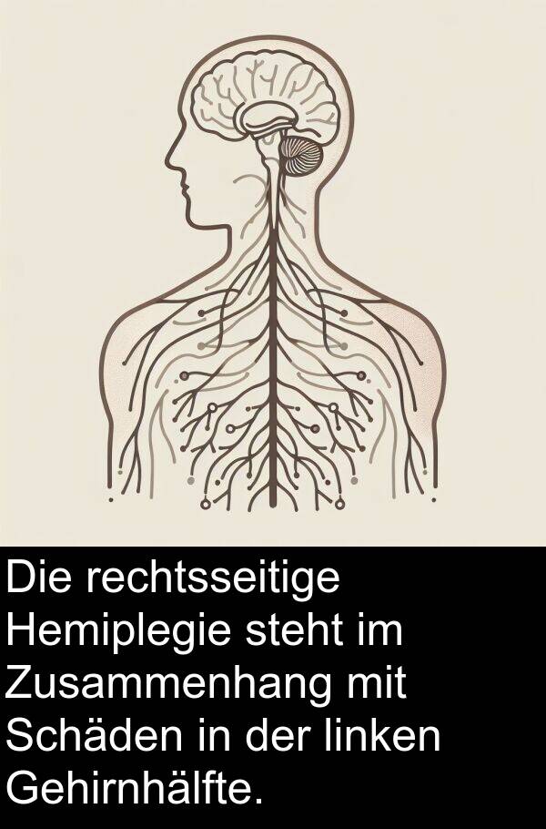 rechtsseitige: Die rechtsseitige Hemiplegie steht im Zusammenhang mit Schäden in der linken Gehirnhälfte.