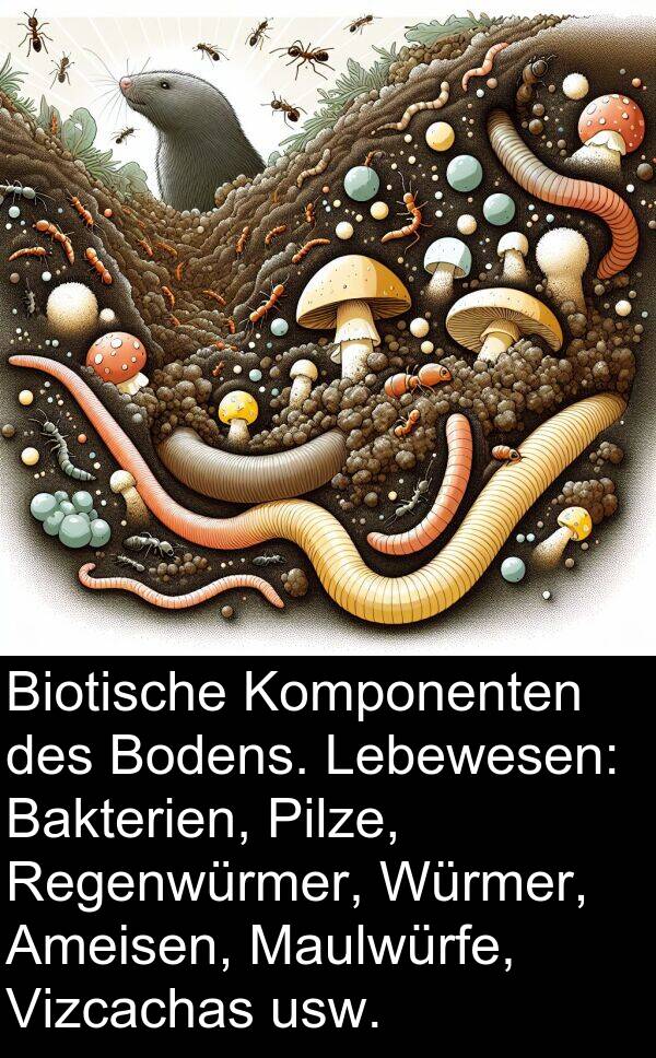 Regenwürmer: Biotische Komponenten des Bodens. Lebewesen: Bakterien, Pilze, Regenwürmer, Würmer, Ameisen, Maulwürfe, Vizcachas usw.